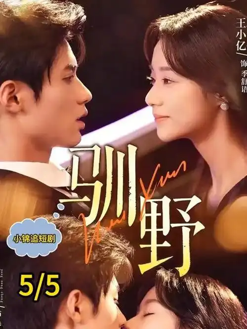 赘婿2 电视剧 2025 郭麒麟/宋轶/张若昀